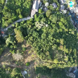 ANI-109 | Bahia estacahuite, oaxaca