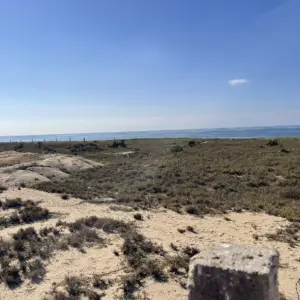 ANI-102 | Puerto Escondido F1-A bio