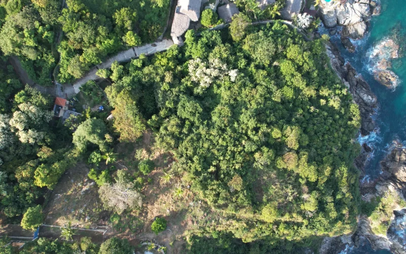 Altdeas-Estacahuite1